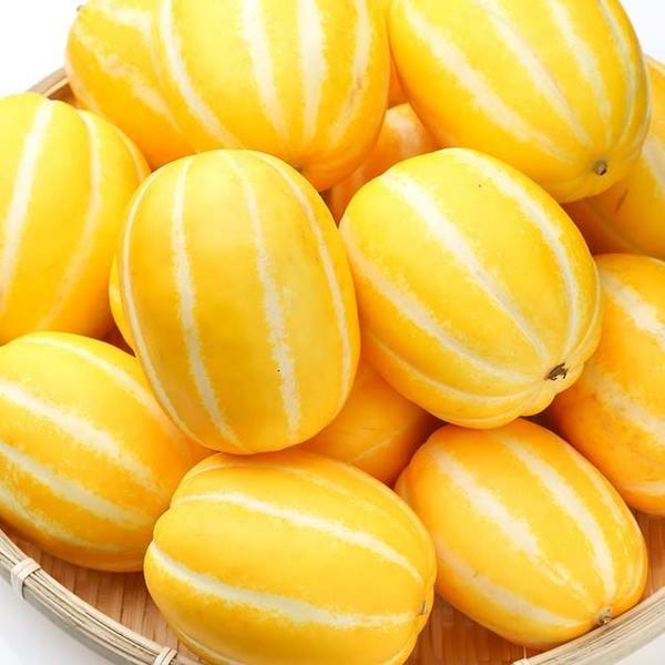 送料無料冷蔵便】韓国産 チャメ 10kg (43〜45玉入) 季節数量限 果物