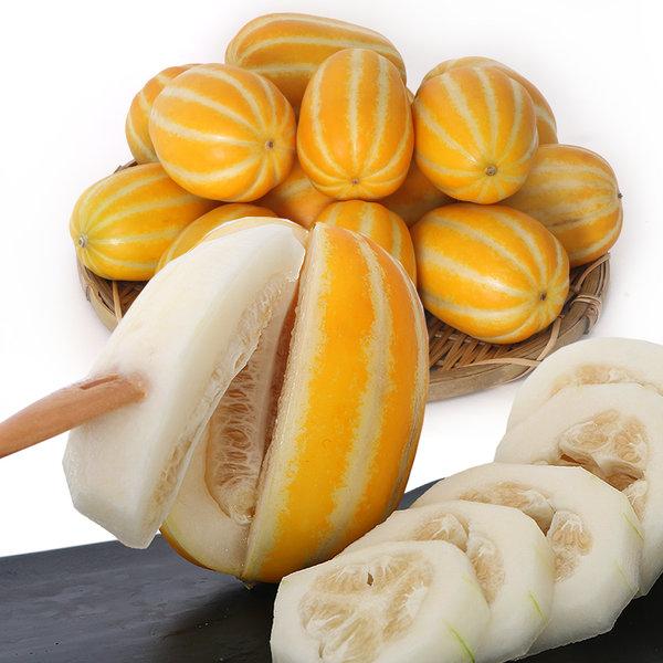送料無料冷蔵便】韓国産 チャメ 10kg (43〜45玉入) 季節数量限 送料無料冷蔵便】韓国産 チャメ 10kg (43〜45玉入) 季節数量限