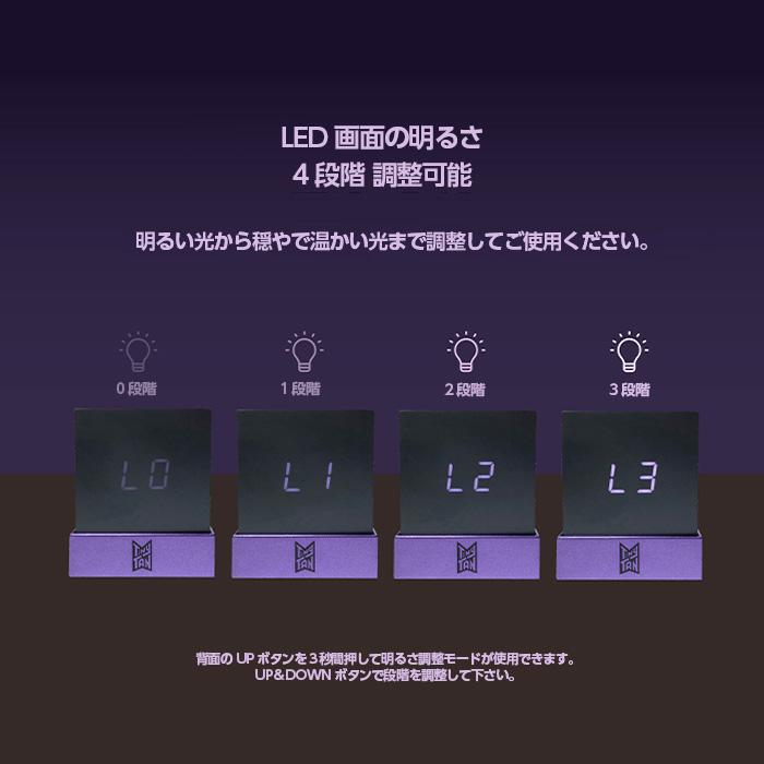 BTS 防弾少年団 TinyTAN(タイニータン) MAGIC DOOR DIORAMA
