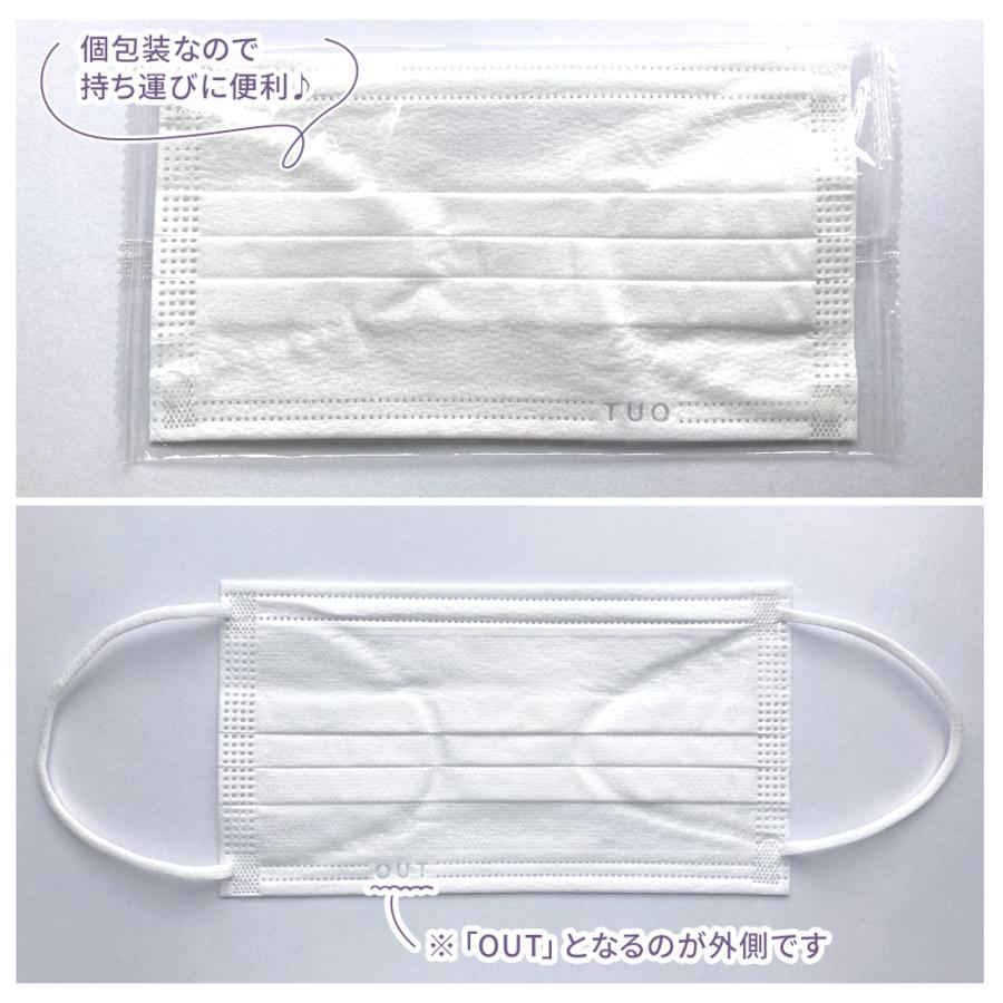 個包装 サージカルマスク ふつう 白 100枚 (50枚入×2箱) Fuji FSM920