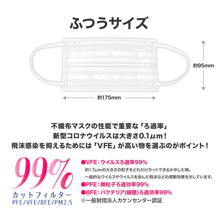 ヒロ・コーポレーション 快適 ダブルワイヤー 不織布 マスク 100 ヒロ・コーポレーション 快適 ダブルワイヤー 不織布 マスク 100