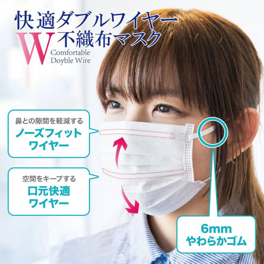 ヒロ・コーポレーション 快適 ダブルワイヤー 不織布 マスク 100枚入