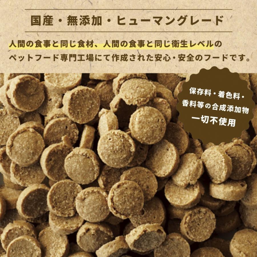 yumyumyum 馬肉 ドライ 犬用 500g | 国産 無添加 ドッグフード 国産原材料 食べやすい 食いつき 小粒 小型犬 中型犬 ごはん 賞味期限：2024/10｜upswell｜02