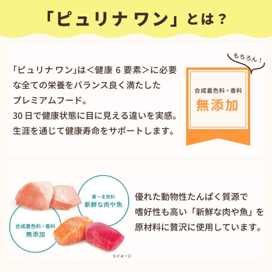 ピュリナワン キャット グレインフリー 猫 チキン or 白身魚 1.6 ピュリナワン キャット グレインフリー 猫 チキン or 白身魚 1.6