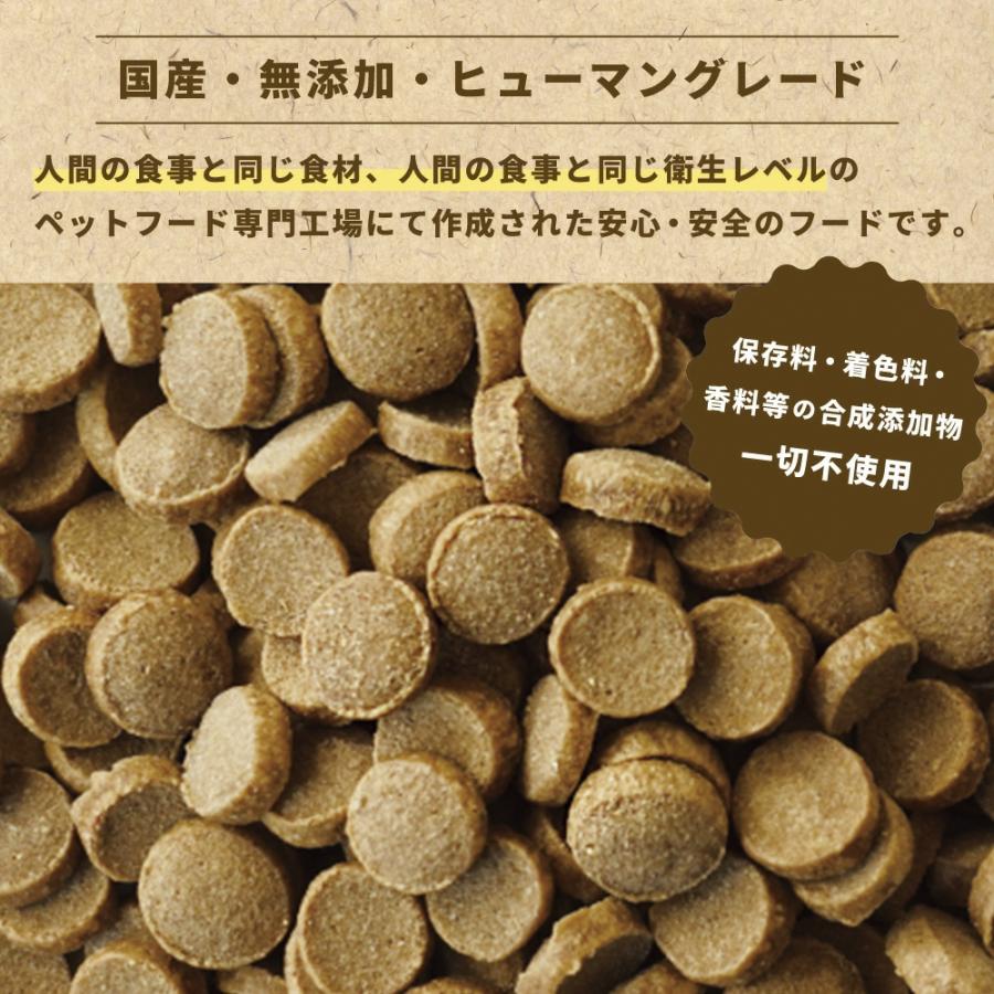 yumyumyum シニア ライト チキン＆馬肉 セット ドライフード 500g 国産 無添加 鶏肉 国産原材料使用 ヤム ペットフード ドッグフード【賞味期限:24.10】｜upswell｜02