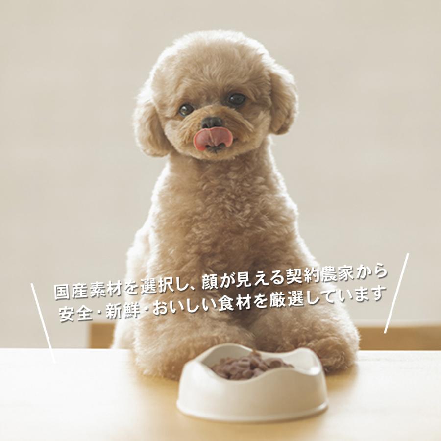 yumyumyum マグロ＆馬肉セット ドライ 犬用 500g | 国産 無添加 ドッグフード 国産原材料 食べやすい 食いつき 小粒 小型犬 中型犬 賞味期限：2024/08〜｜upswell｜03