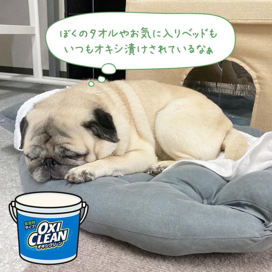オキシクリーン 1500g 粉末 OXICLEAN 漂白剤 弱アルカリ性 無香料 界面活性剤不使用 酸素系漂白剤 色柄物OK 除菌 消臭 オキシ漬け ペット | OXICLEAN | 04