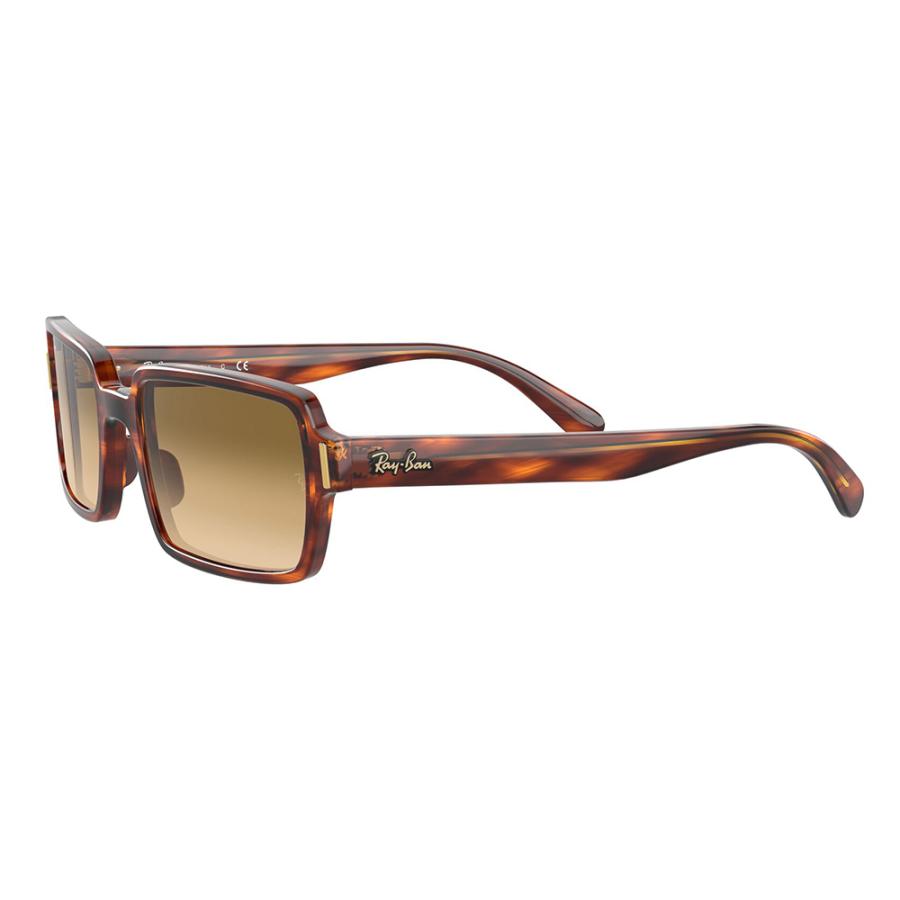 オススメ価格 レイバン サングラス RB2189 954/51 52 ベンジー BENJI セル スクエア Ray-Ban | Ray-Ban | 03