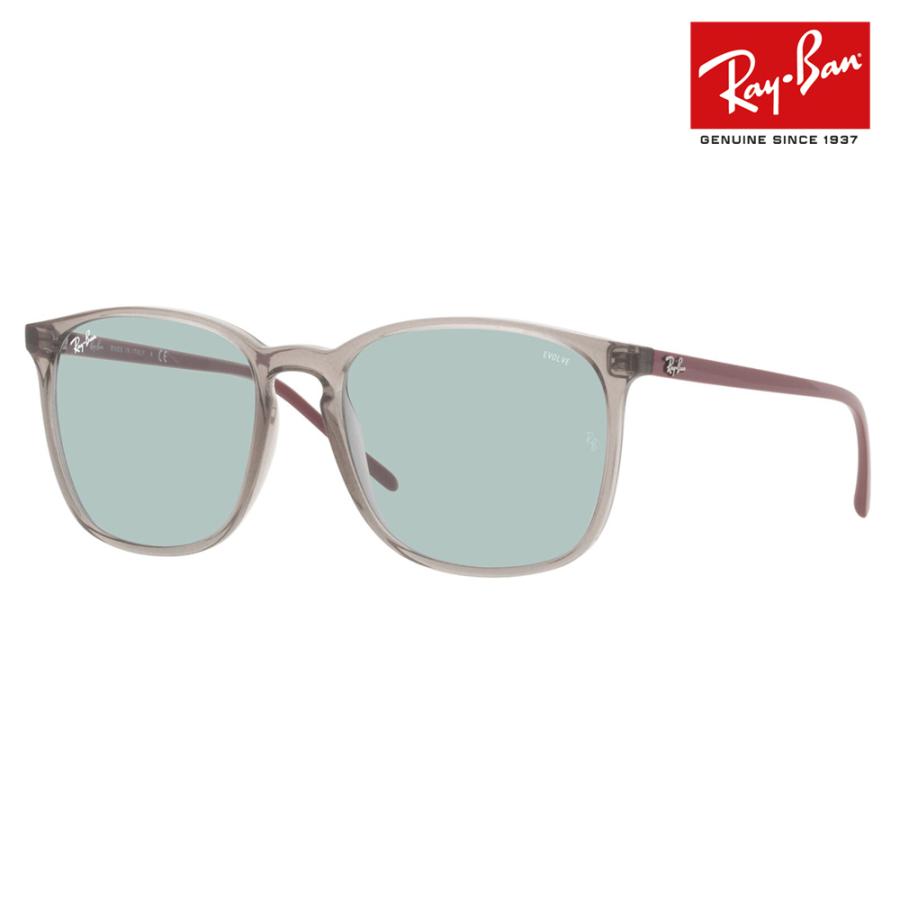 Ray-Ban レイバン サングラス 純正レンズ対応 RB4387F 1350Q5 55
