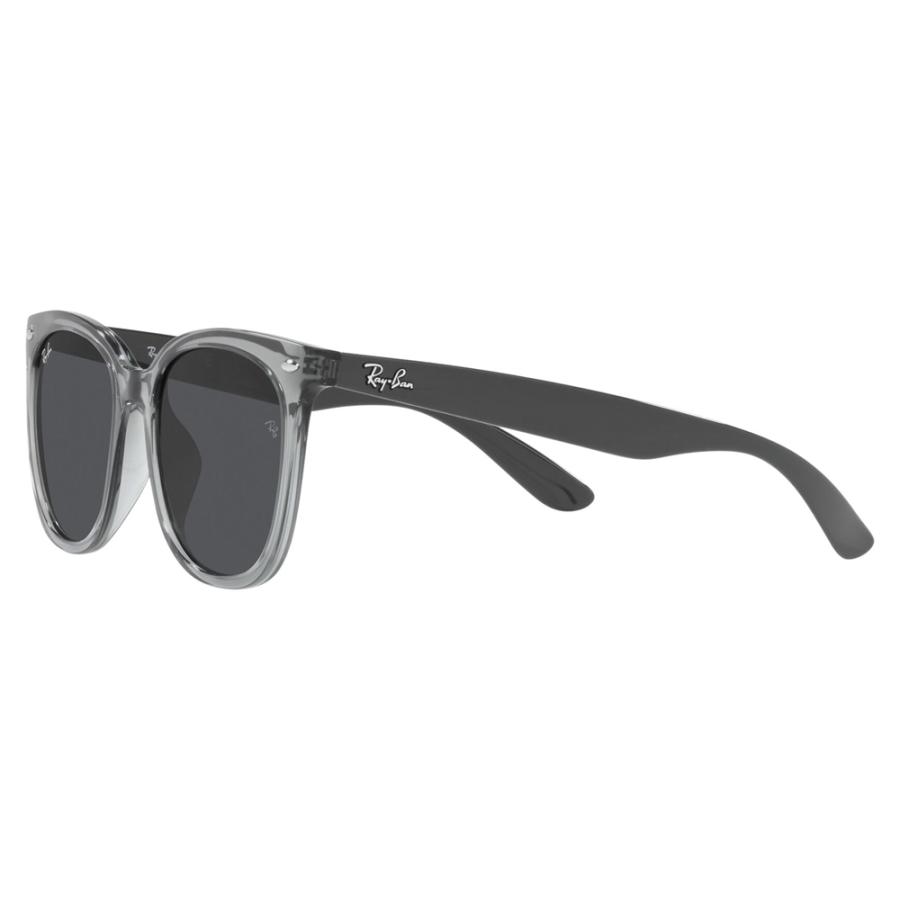 Ray-Ban（レイバン） サングラス 純正レンズ対応 RB4379D 659987 55