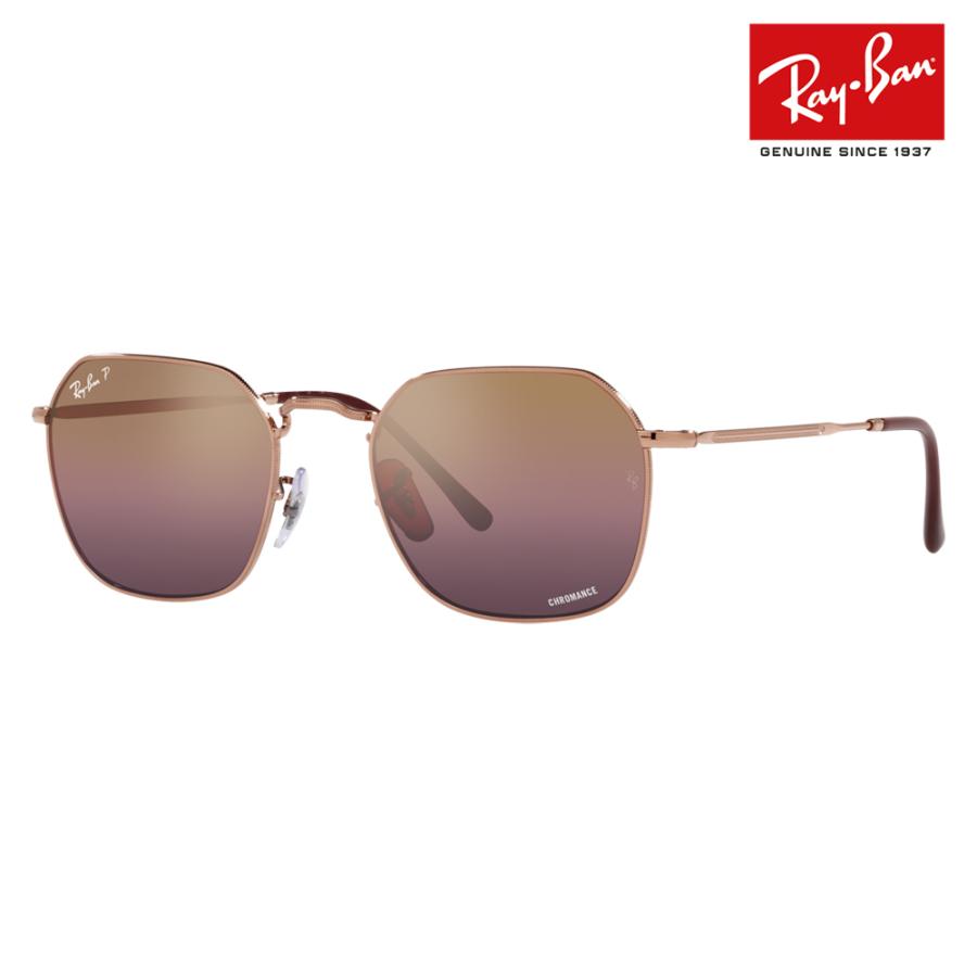Ray-Ban レイバン サングラス 純正レンズ対応 RB3694 9202G9 53 55 JIM 