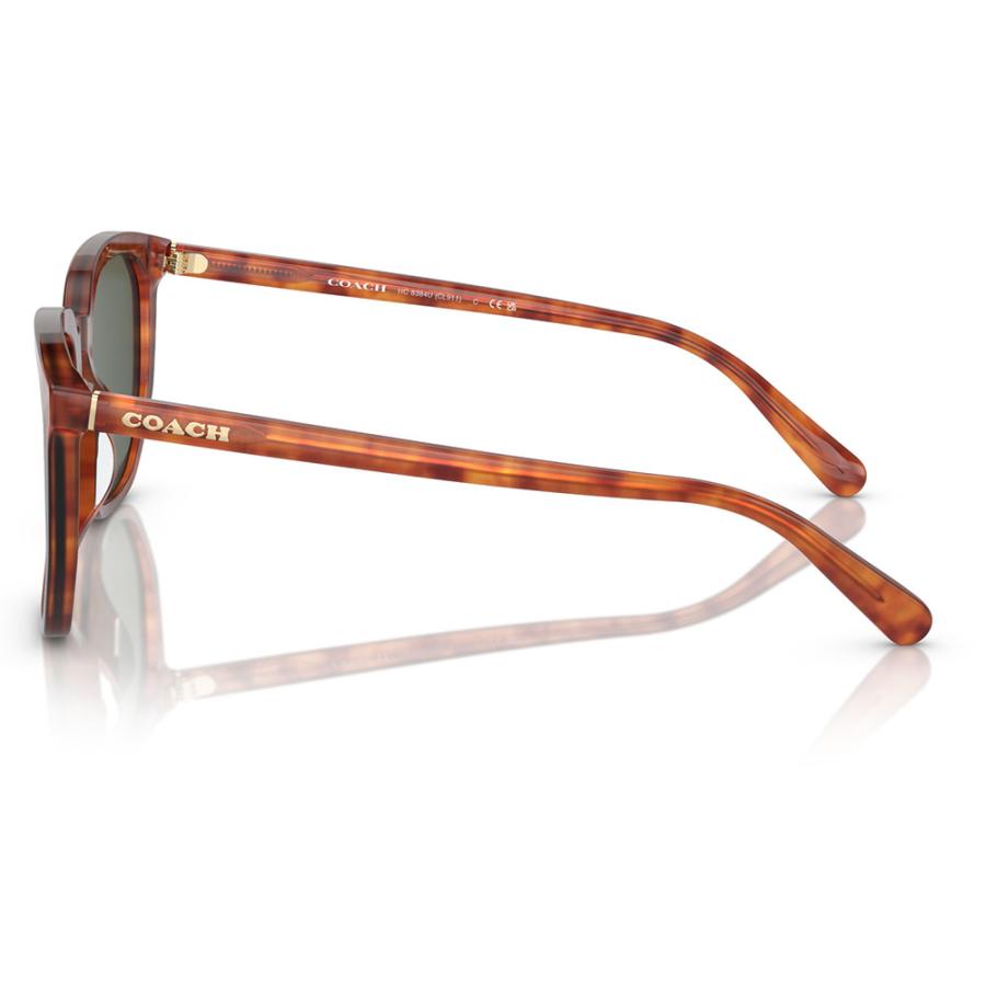 COACH（コーチ） オススメ価格 サングラス HC8384U 577482 55