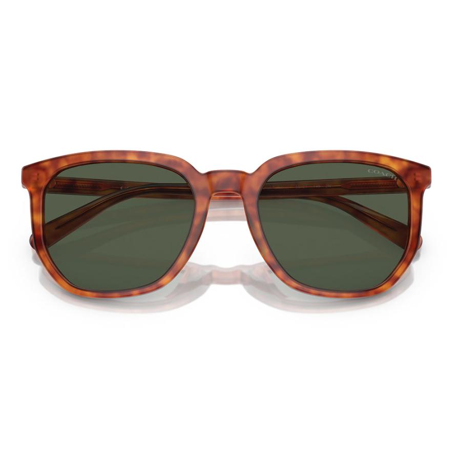 COACH（コーチ） オススメ価格 サングラス HC8384U 577482 55