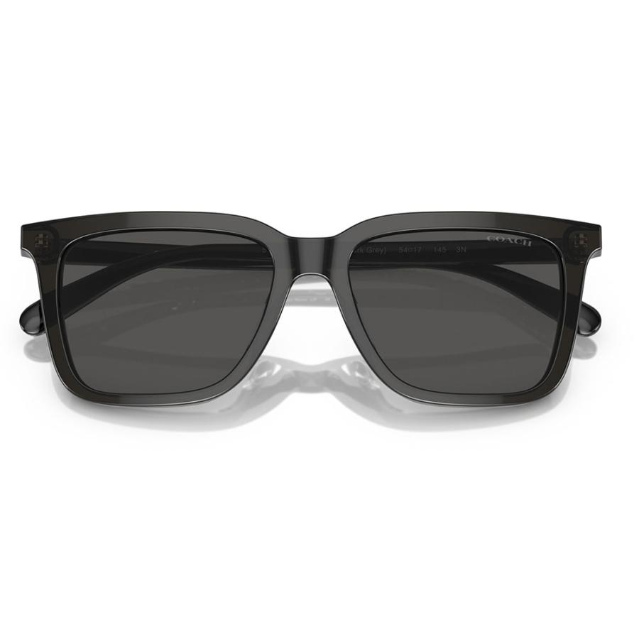 オススメ価格 コーチ COACH サングラス HC8385U 579387 54 ウェリントン スクエア ユニバーサルフィット レディース UVカット 紫外線 | COACH | 04