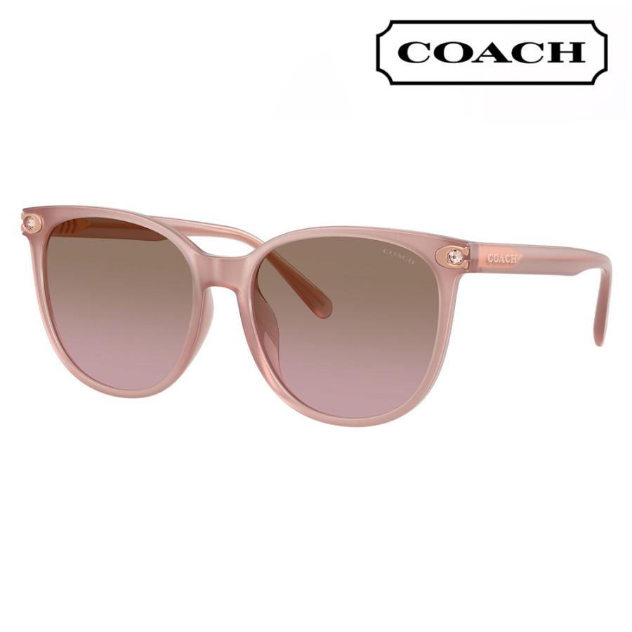 コーチ COACH サングラス HC8414BD 583914 57 CW428 ラウンド セル アジアンデザイン レディース | COACH
