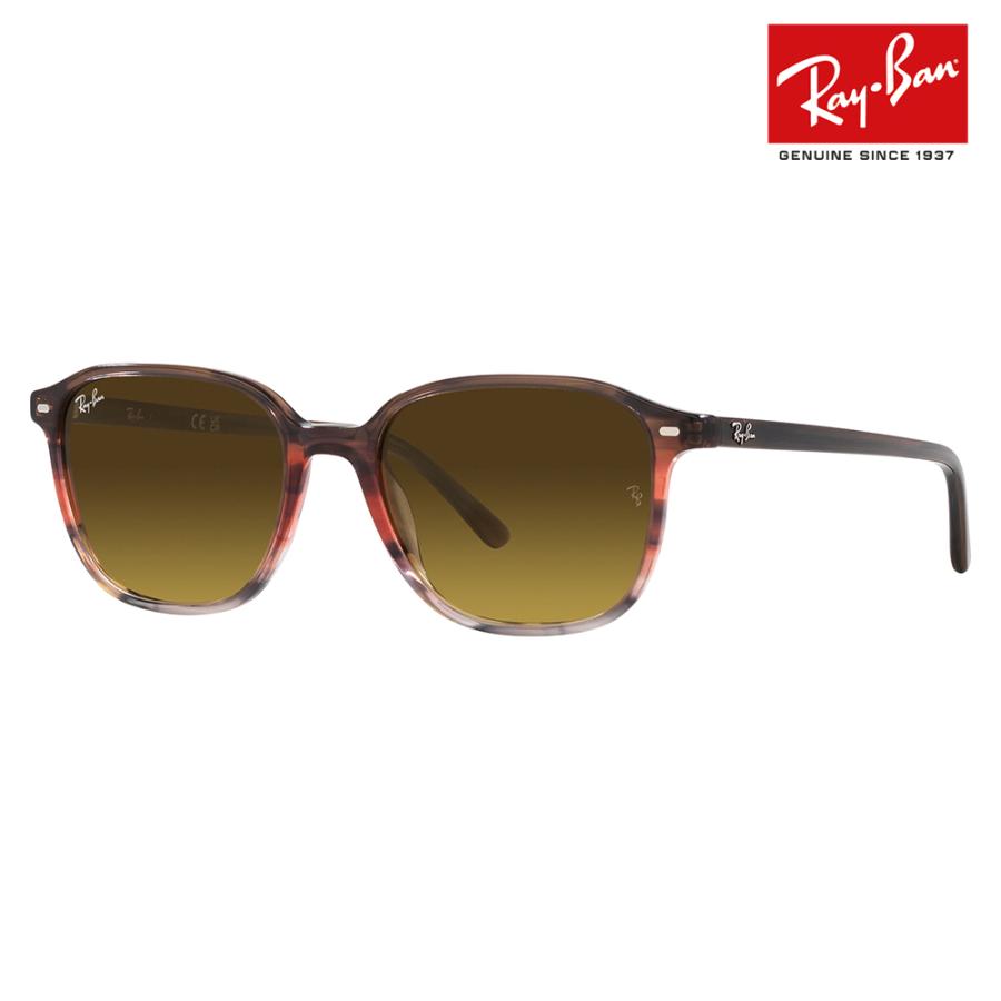 Ray-Ban（レイバン） サングラス 純正レンズ対応 RB2193F 138085 55