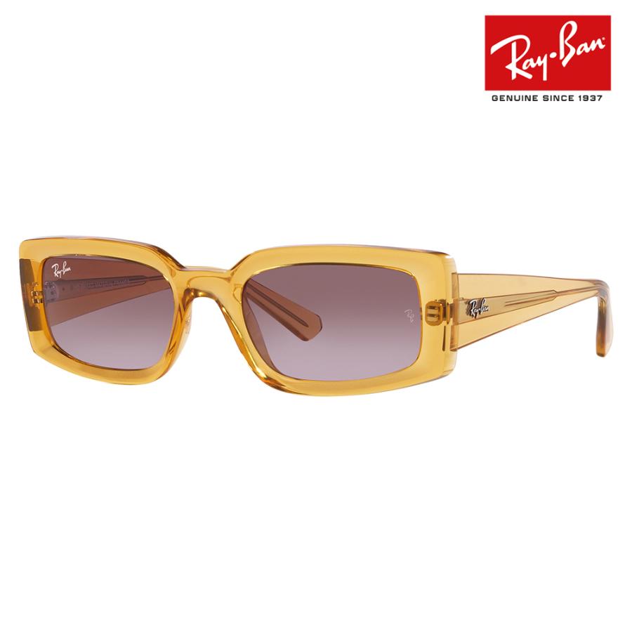 Ray-Ban レイバン サングラス 純正レンズ対応 RB4395F 66828H 54 Ray-Ban レイバン サングラス 純正レンズ対応 RB4395F 66828H 54