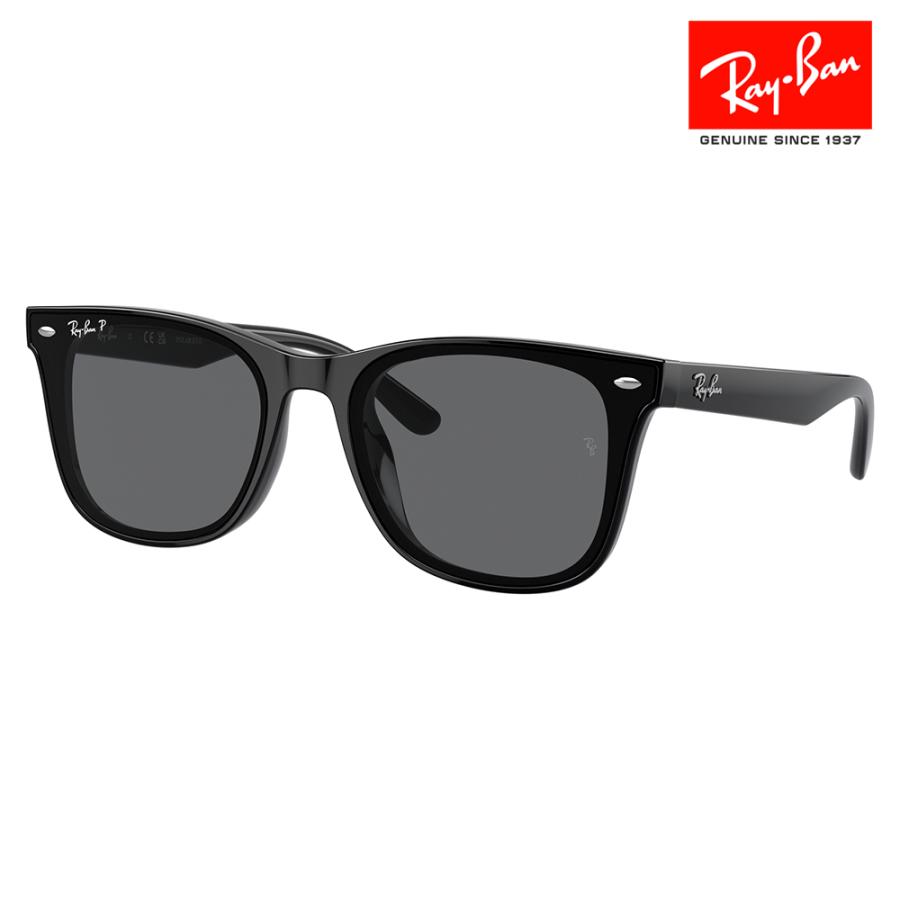 Ray-Ban レイバン サングラス 純正レンズ対応 RB4391D 601/81 65 Ray-Ban レイバン サングラス 純正レンズ対応 RB4391D 601/81 65