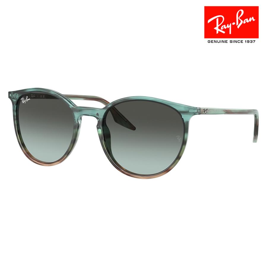 Ray-Ban（レイバン） サングラス 純正レンズ対応 RB2204F 1394GK 54 