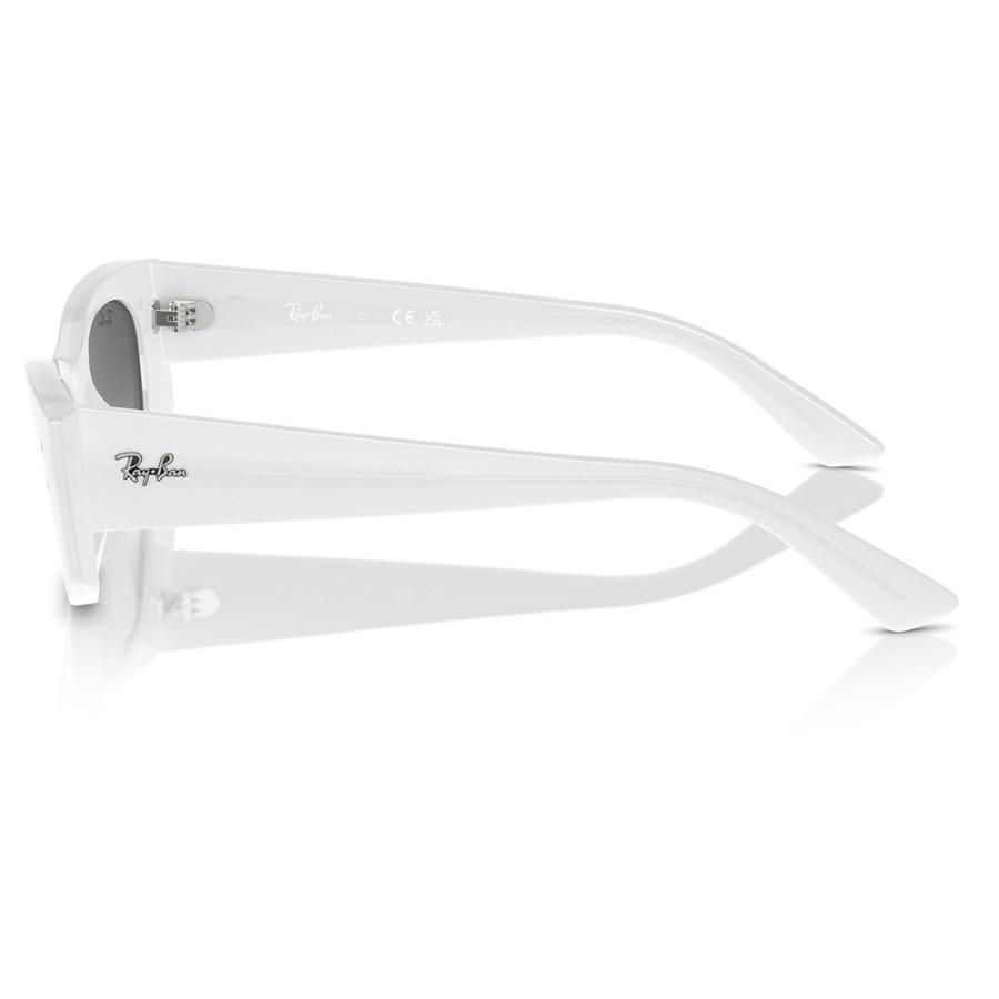 Ray-Ban（レイバン） サングラス 純正レンズ対応 RB4427 675911 49 KAT