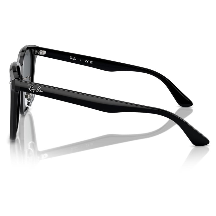 Ray-Ban（レイバン） サングラス 純正レンズ対応 RB2206D 901/87 57