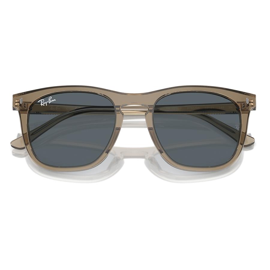 レイバン サングラス 純正レンズ対応 RB2210F 6765R5 53 Ray-Ban ウエリントン セル  伊達メガネ 眼鏡 | Ray-Ban | 04