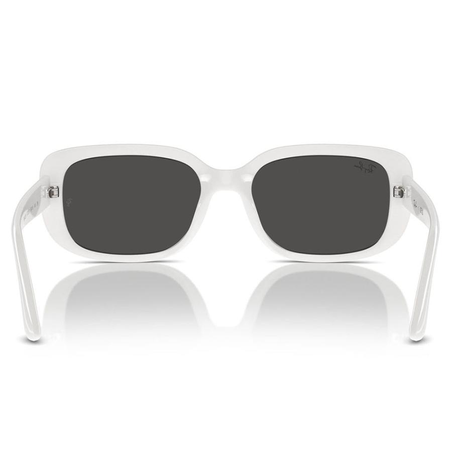 Ray-Ban レイバン サングラス 純正レンズ対応 RB4421D 677287 56