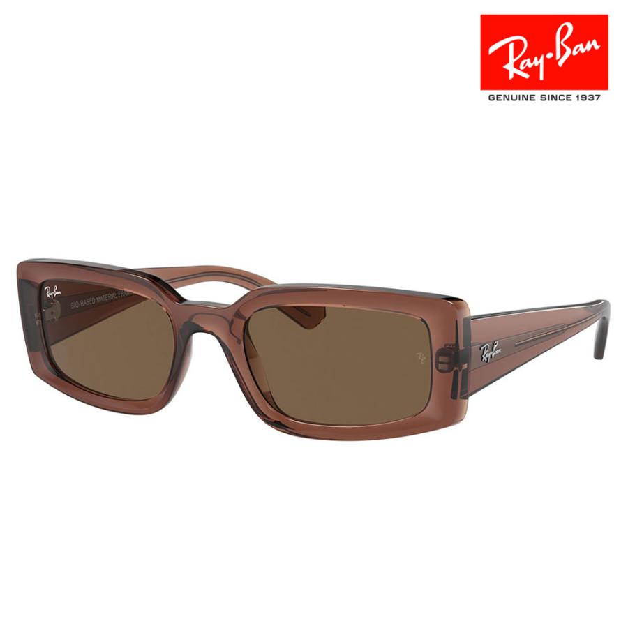 Ray-Ban レイバン サングラス 純正レンズ対応 RB4395F 667873 54 Ray-Ban レイバン サングラス 純正レンズ対応 RB4395F 667873 54