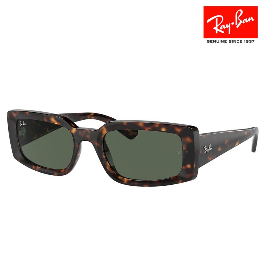 Ray-Ban レイバン サングラス 純正レンズ対応 RB4395F 135971 54 