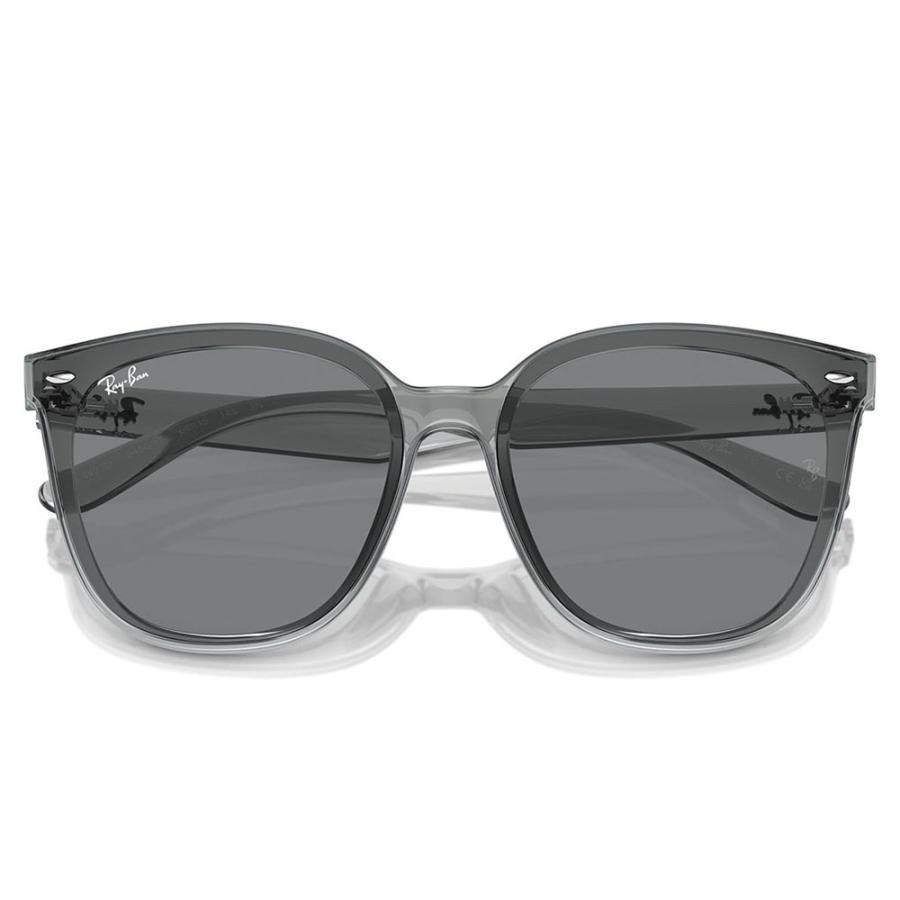 Ray-Ban（レイバン） サングラス 純正レンズ対応 RB4423D 645087 66