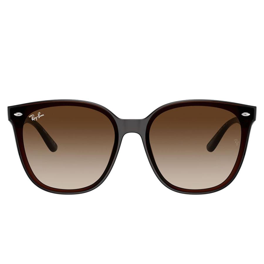 レイバン サングラス RB4423D 714/13 66 Ray-Ban アジアンデザインモデル ウェリントン 大きめ ビックシェイプ | Ray-Ban | 01