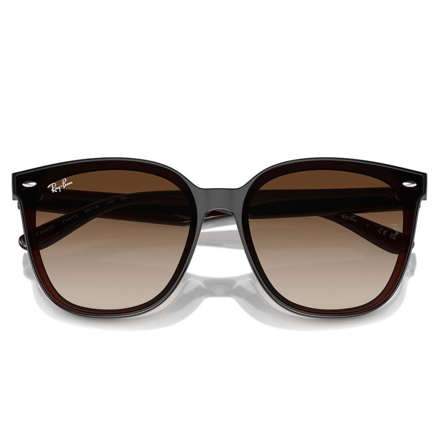 レイバン サングラス RB4423D 714/13 66 Ray-Ban アジアンデザインモデル ウェリントン 大きめ ビックシェイプ | Ray-Ban | 04