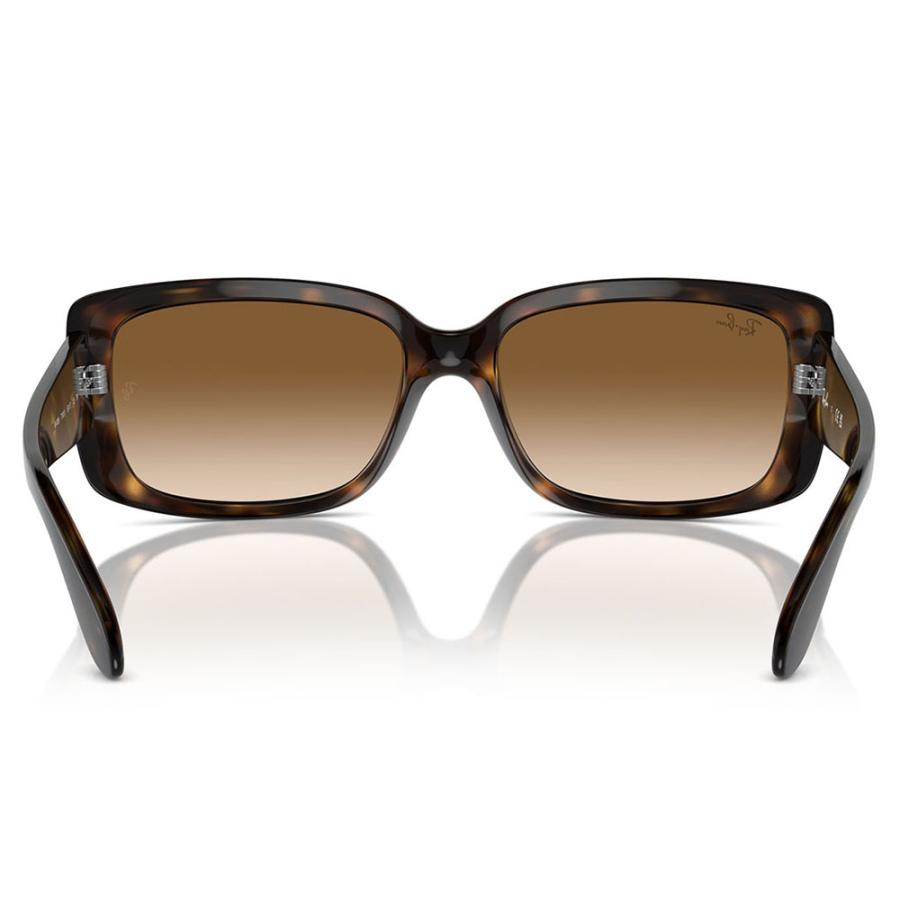 Ray-Ban サングラス ブラウンレンズ Ray-Ban（レイバン） サングラス 純正レンズ対応 RB4389 710/51 55 58