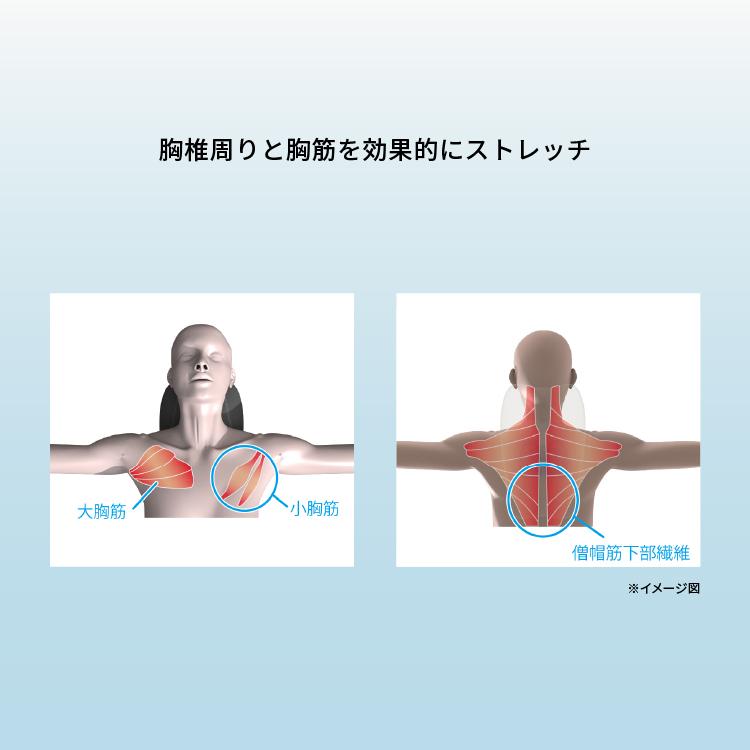 トラッククルーネックシャツ M ブラウン ブルー 5