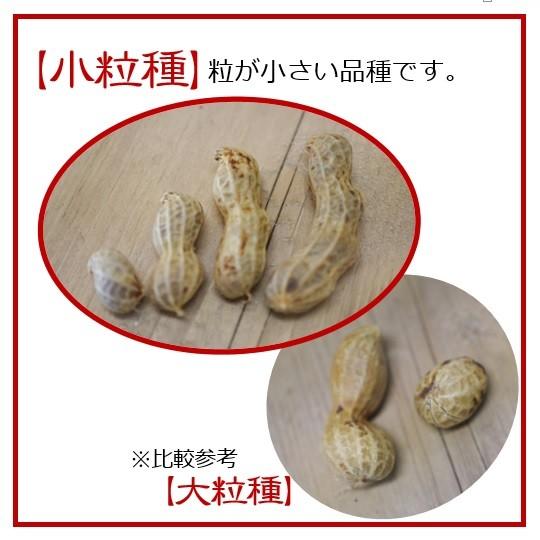 新物 塩ゆで落花生 小粒 500g 大村産 ゆでピープロジェクト Z003 浦川豆店 通販 Yahoo ショッピング