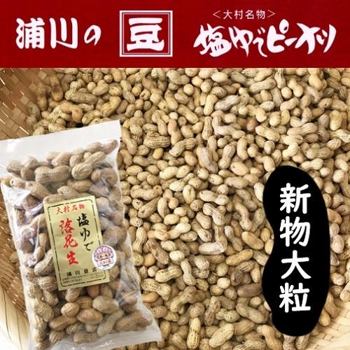 新物 塩ゆで落花生 大粒 500g 大村産 ゆでピープロジェクト Z004 浦川豆店 通販 Yahoo ショッピング