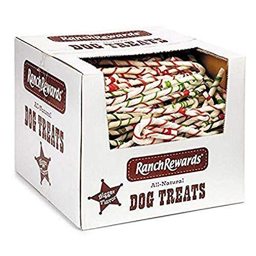 全日本送料無料 Ranch Rewards 250 Piece Raw Hide Candy Cane Bulk Box 8 Inch並行輸入品 格安人気 Www Teslaimagem Com Br