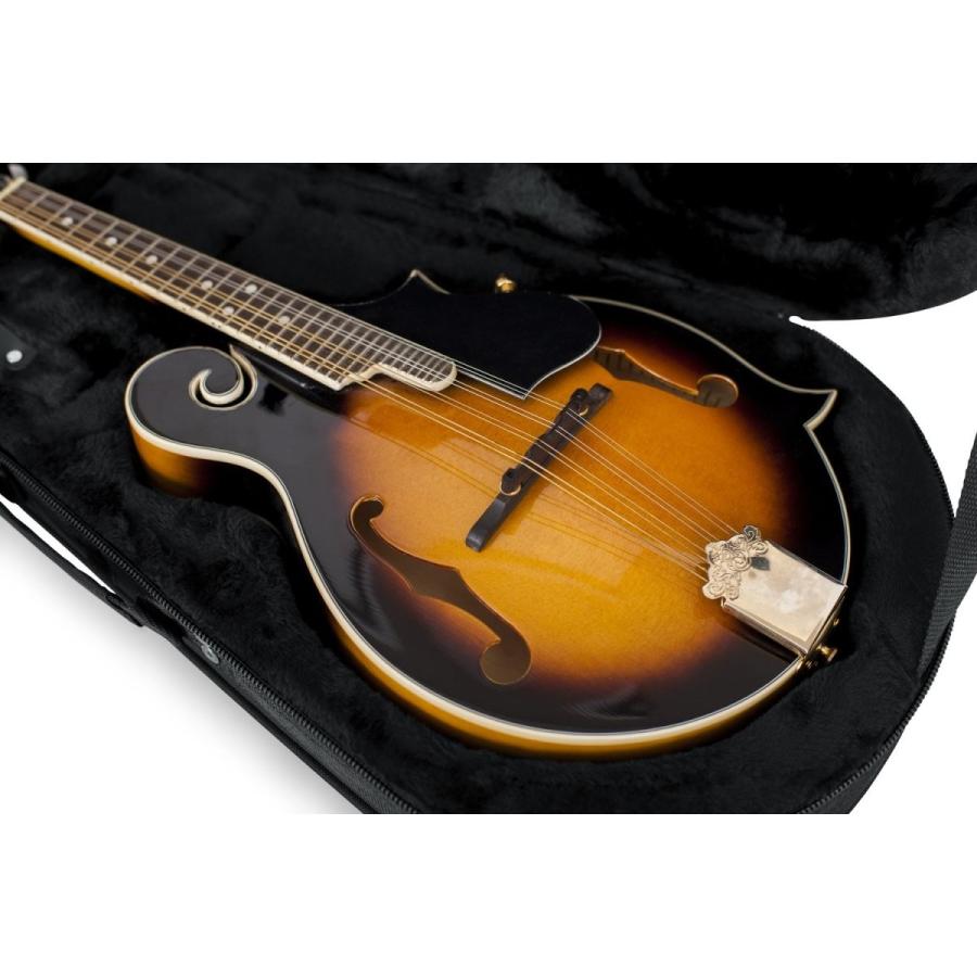 輝く高品質な Gator ゲーター マンドリン用 軽量セミハードケース Gl Guitar Series Eps製 Gl Mandolin 国内正規品 Seal限定商品 Kwsrbd Com