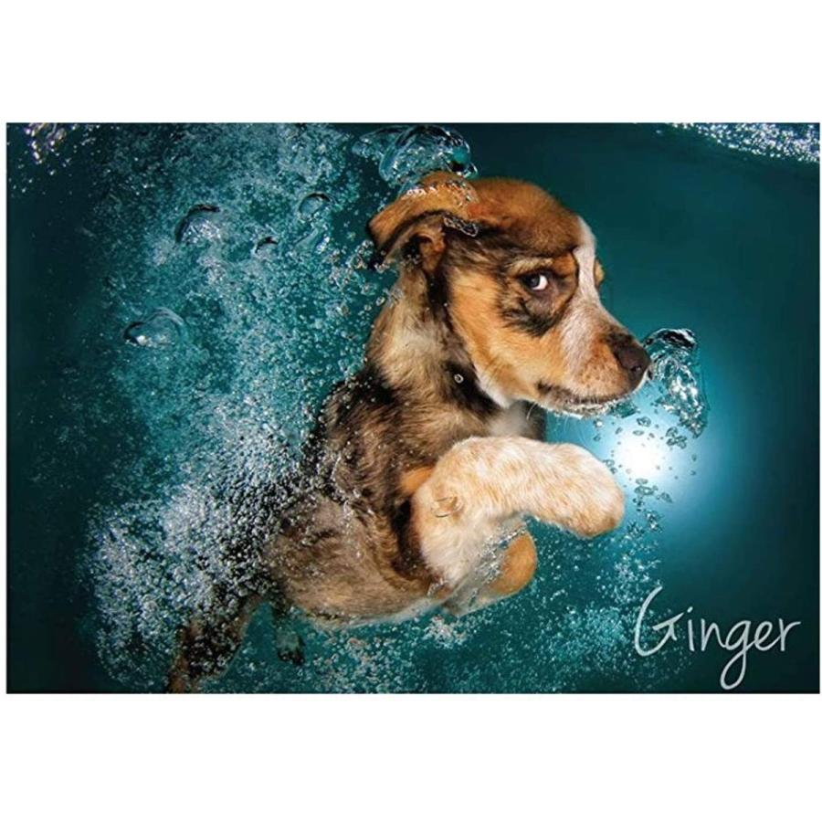 1000ピース ジグソーパズル 水中犬 4犬種 子犬 セス キャスティール ウララカストア 通販 Yahoo ショッピング