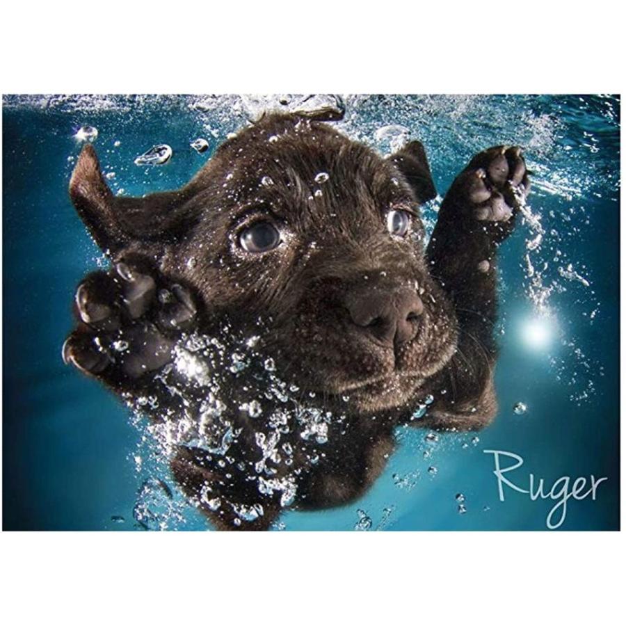 1000ピース ジグソーパズル 水中犬 4犬種 子犬 セス キャスティール ウララカストア 通販 Yahoo ショッピング