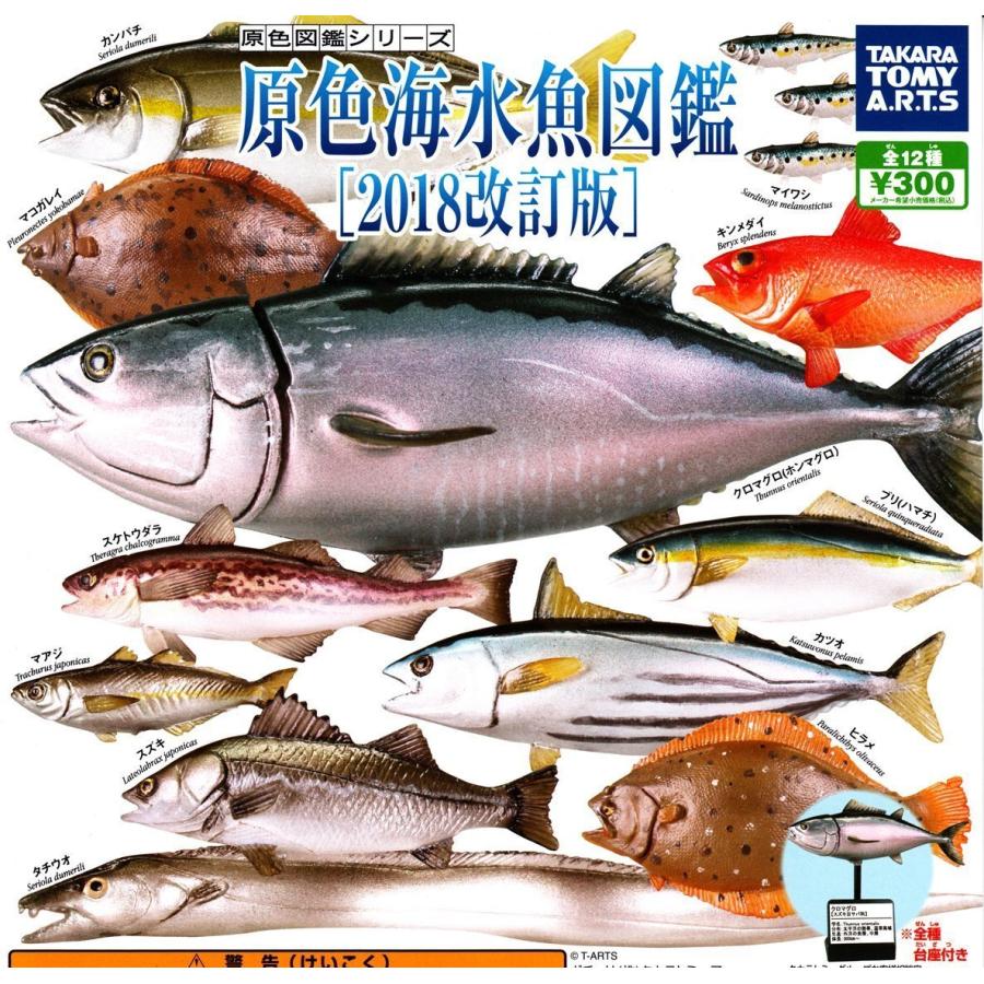 レビューで送料無料 原色図鑑シリーズ 原色海水魚図鑑 18改訂版 全12種セット フルコンプ 史上最も激安 Smmacademy Ru