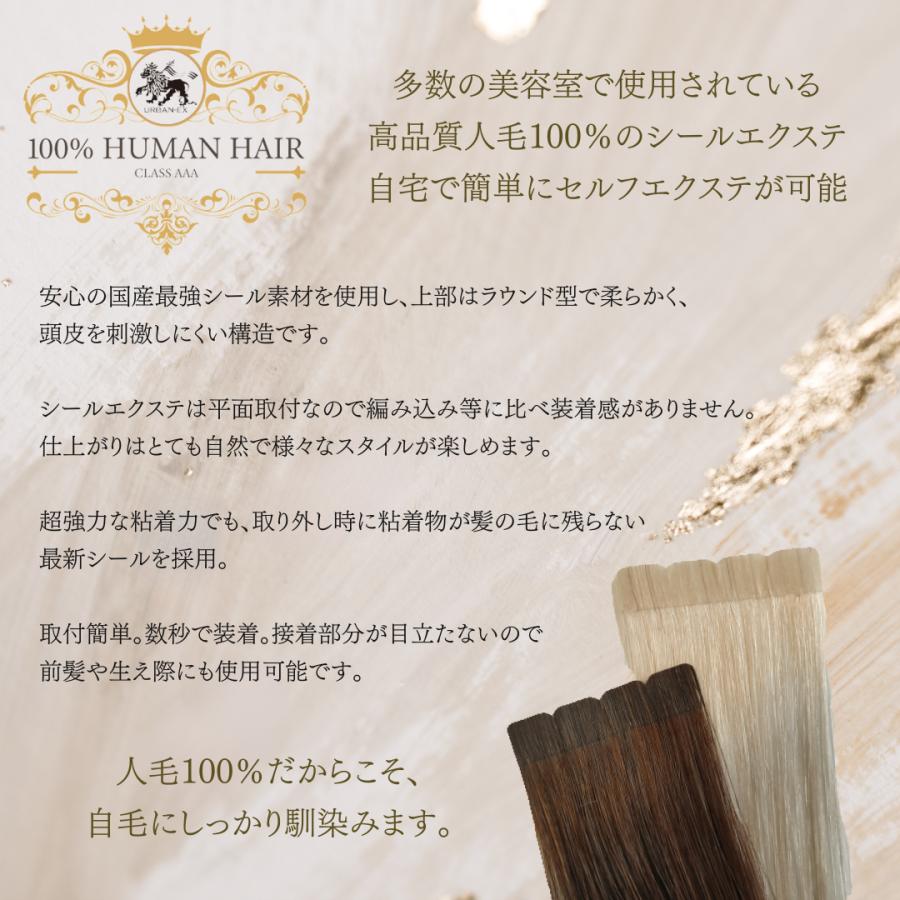 シールエクステ 約43cm 20シート(40本分) ビビハイ 人毛エクステ