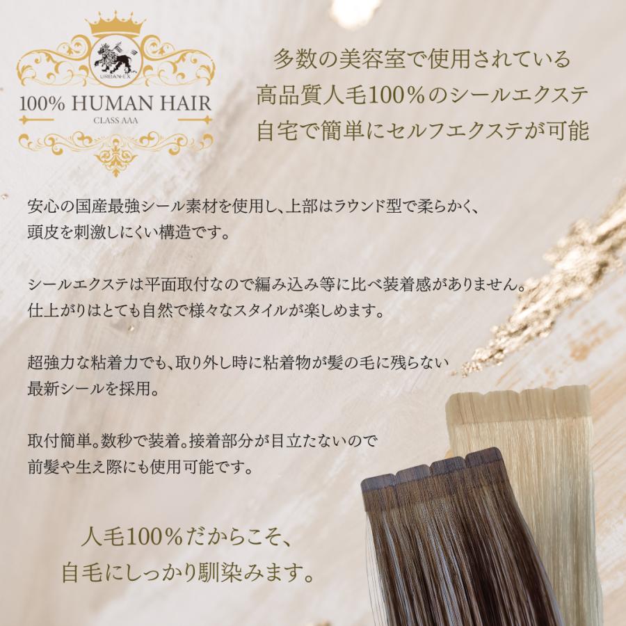 シールエクステ 約50cm 20シート(40本分) 人毛エクステ エクステ