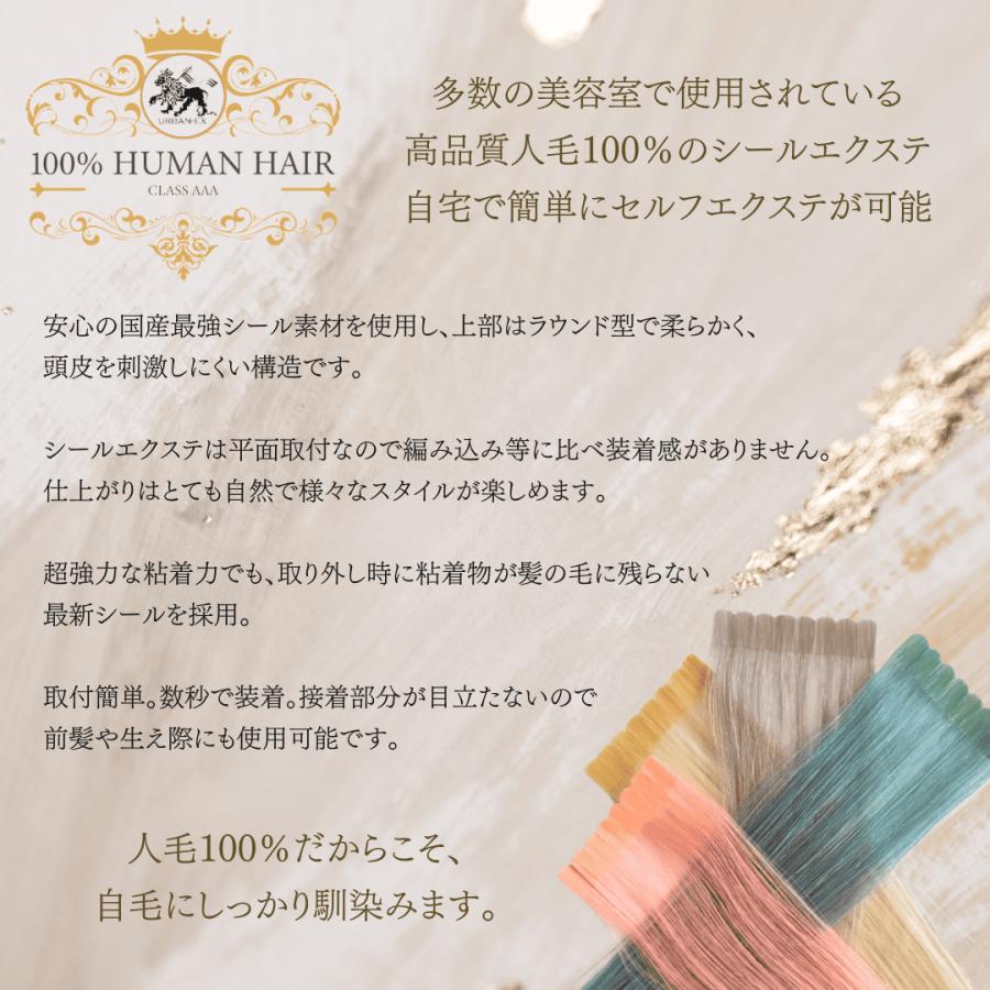 シールエクステ 約27〜30cm 10シート(20〜40本分) 人毛エクステ セルフ