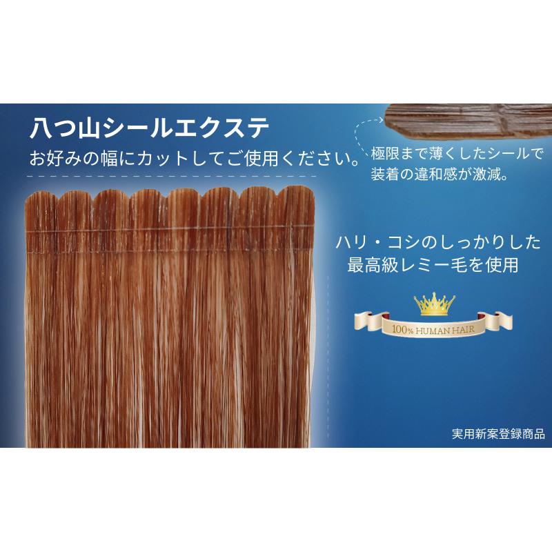レターパックプラスダークアッシュ120枚当日発送　シールエクステ　大人気カラー ダークグレー×ホワイトアッシュ☆シールエクステグラデーション