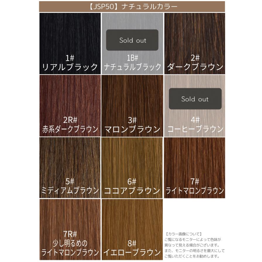 シールエクステ 52cm 80枚プレミアムクラス #10 ナチュラルアッシュ 10000000-mix.jpg