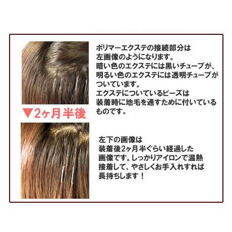 クイック ポリマー エクステンション 約50cm ビビットカラー 1本 バラ 人毛 ロング エクステ Qpb50v Urban Ex 通販 Yahoo ショッピング