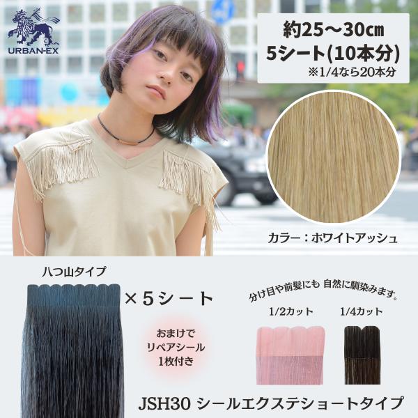 【SALE】 シールエクステ ショート 人毛100% 前髪 カラーエクステ エクステ エクステンション メッシュ イベント 推し活 ダンス セルフ セルフエクステ の商品画像