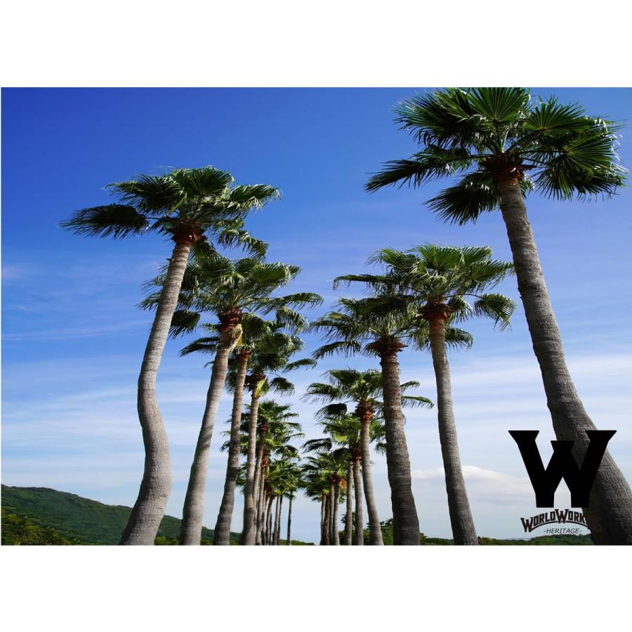 ベイカーショーツ ワールドワーカーズ World Workers サマーコールビーチショーツ＆サマーデニム BIG JOHN ビッグジョン 膝上丈 ワークショーツ ショートパンツ | WORLD WORKERS | 23