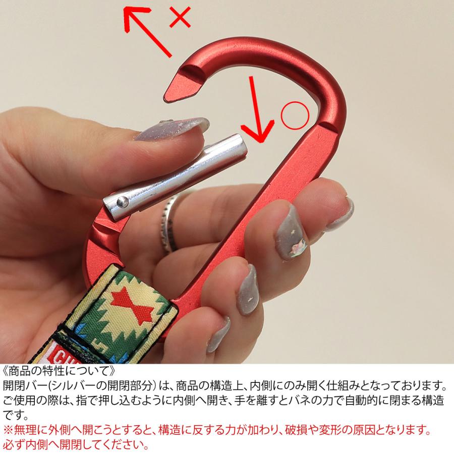 CHUMS（チャムス） キーホルダー カラビナ キーチェーン アクセサリー